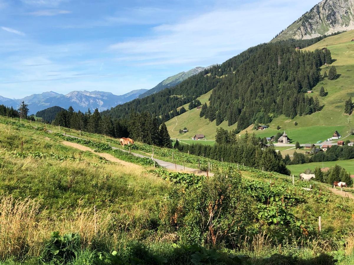 Alpine Dream Chalet With Spa Close To Lake Geneva Les Mosses المظهر الخارجي الصورة