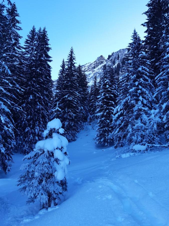 Alpine Dream Chalet With Spa Close To Lake Geneva Les Mosses المظهر الخارجي الصورة